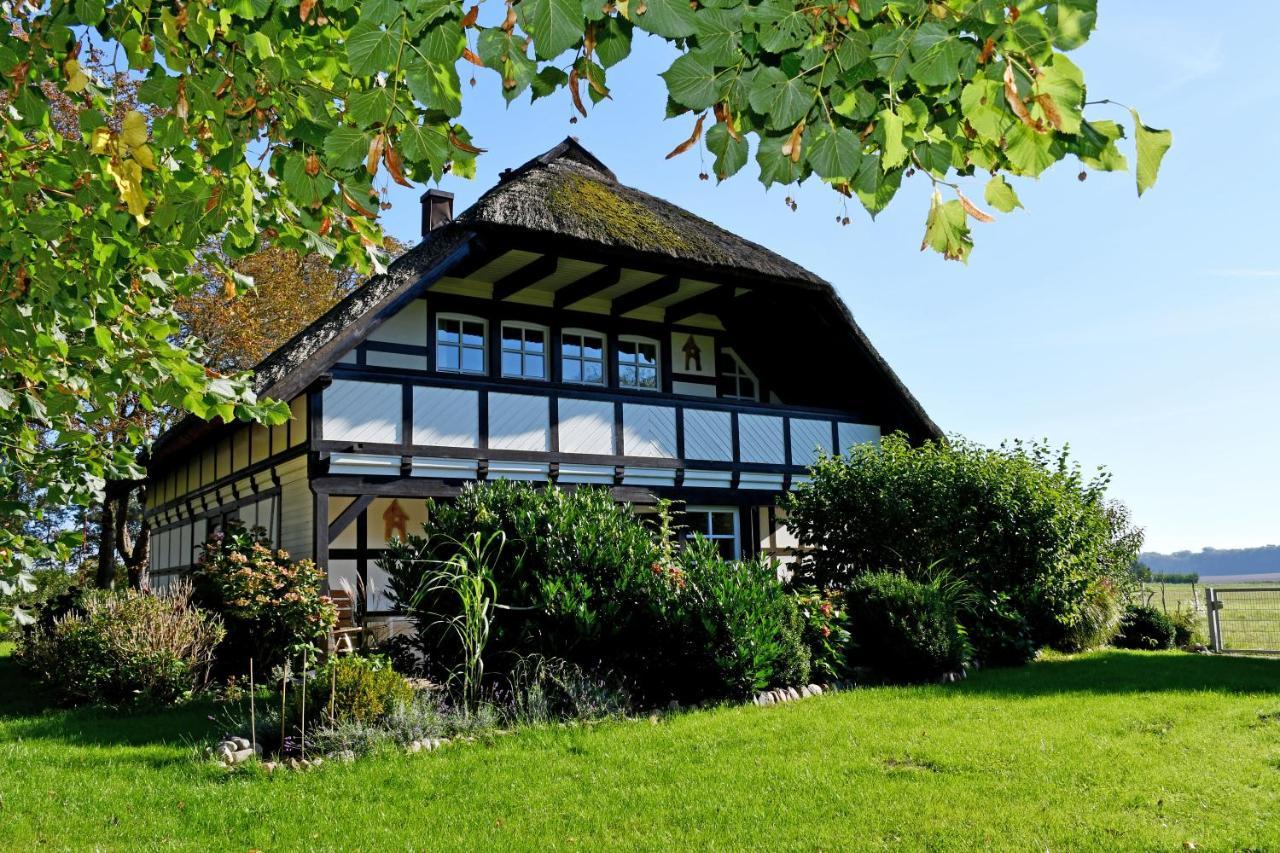 Reetdachfachwerkvilla Am Wiesengrund Bergen Auf Rugen Extérieur photo