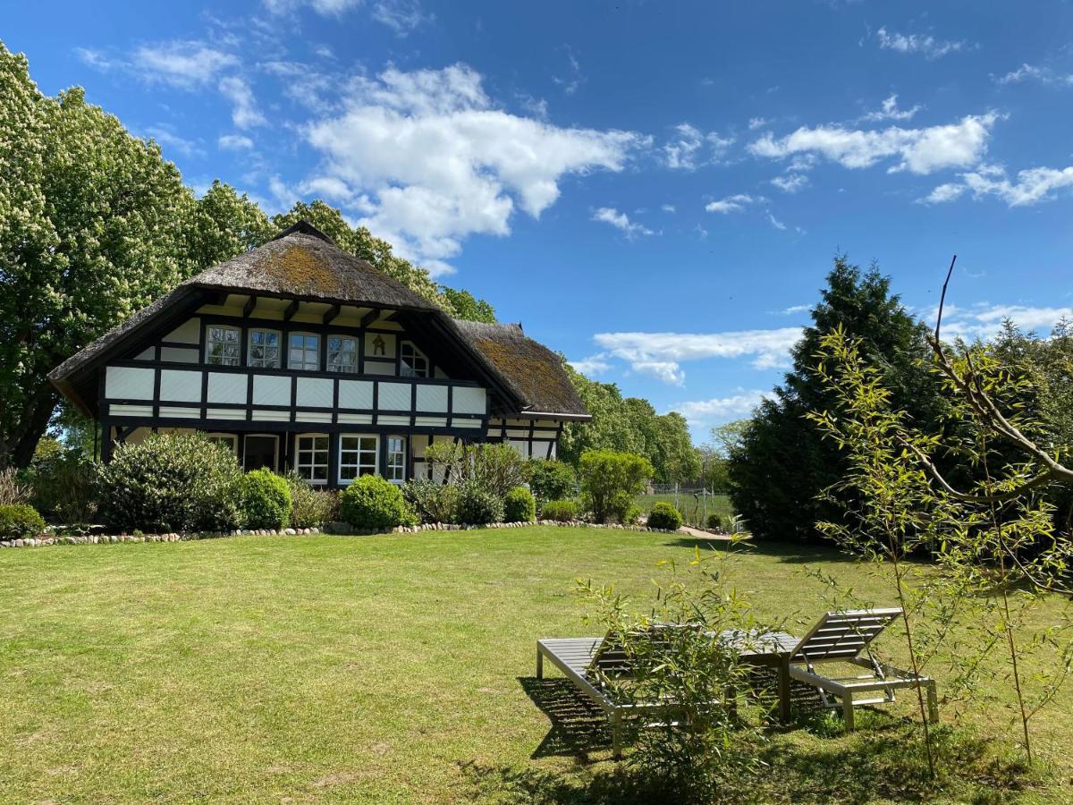 Reetdachfachwerkvilla Am Wiesengrund Bergen Auf Rugen Extérieur photo