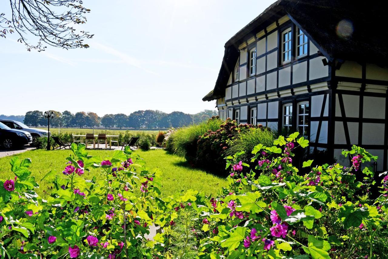 Reetdachfachwerkvilla Am Wiesengrund Bergen Auf Rugen Extérieur photo